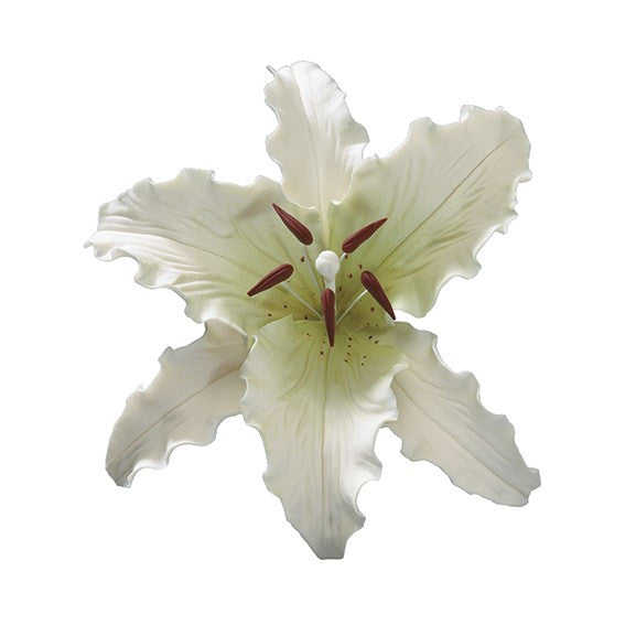 Stargazer Lily - 5 Inch (17)