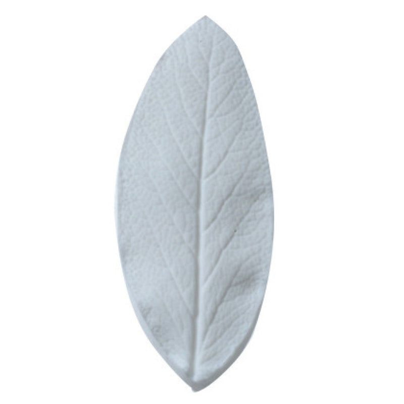 Squires Kitchen leaf Veiner Sage (Large)