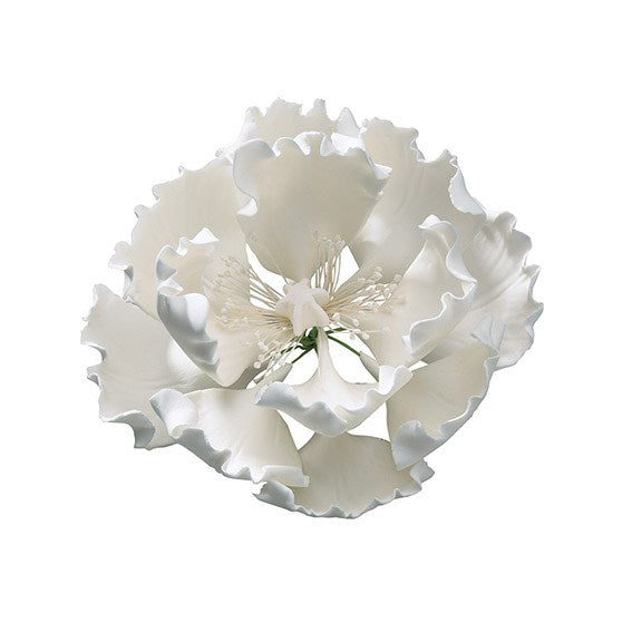 Open Gumpaste Peony, 4" (101 mm) (23)