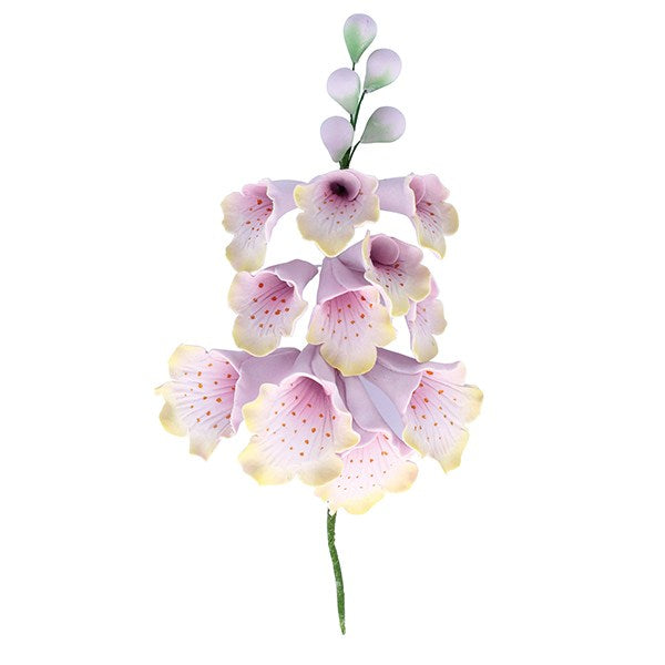 Foxglove Sugar Spray 125mm (28)