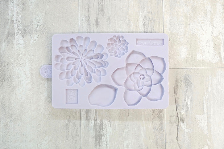 Succulents - Karen Davies Mould