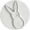 PME - Plunger Rabbit