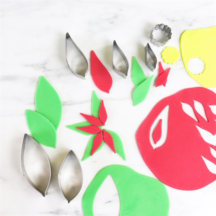 Stainless Steel Poinsettia Cutters
