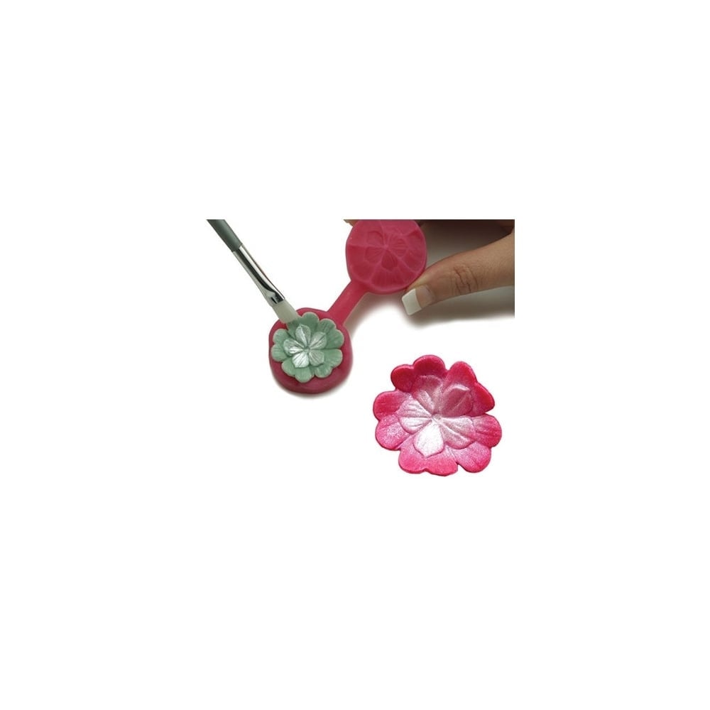 Blossom Sugar Art Primula Cutter