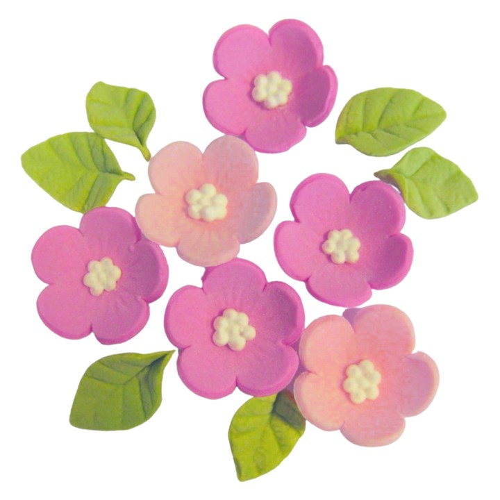 Edible Decorations