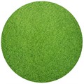 Round  Masonite Cake Boards