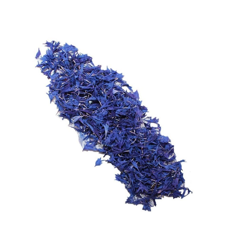 Nurtured in  Norfolk Dried Flowers