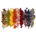 Nurtured in  Norfolk Dried Flowers
