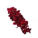 Nurtured in  Norfolk Dried Flowers