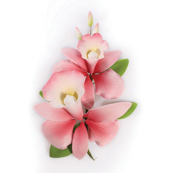 Pink Orchid - 152mm (14)