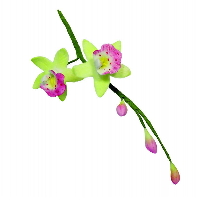 PME-Metal Flower/Leaves - Cymbidium Orchid