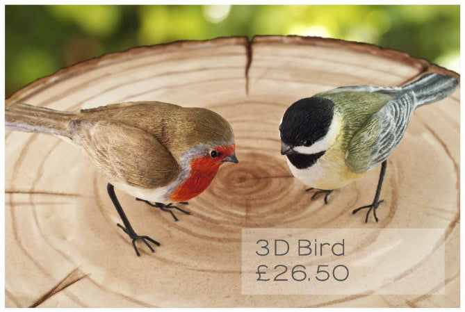 3D Bird FPC Mould(C185)