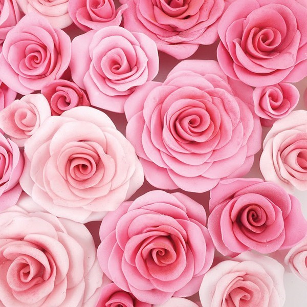 Easy Rose FMM Cutter
