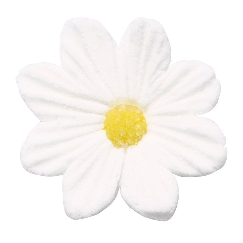 Sugar Daisy White (20mm)