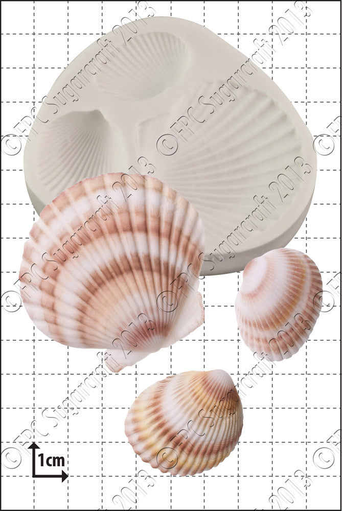 Large Shells FPC Mould(C170)